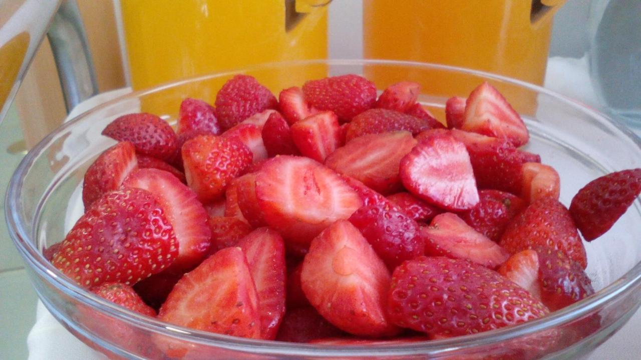 Barquinha Nature House 빌라 노바 다 바르키냐 외부 사진